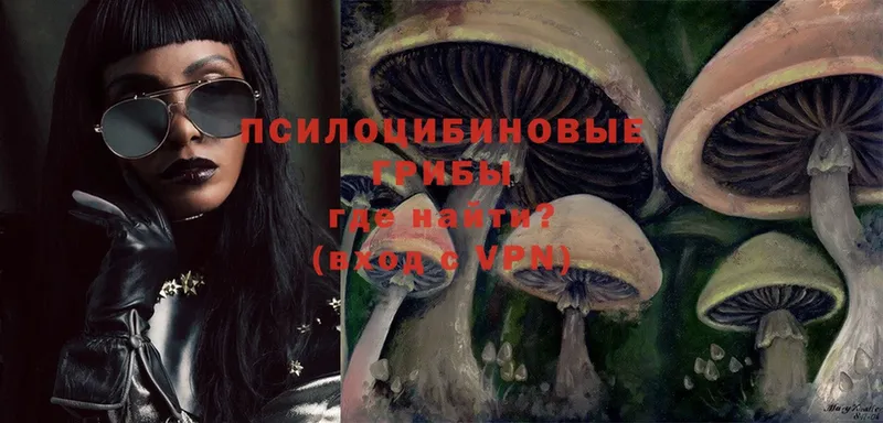 Псилоцибиновые грибы Psilocybe  Надым 